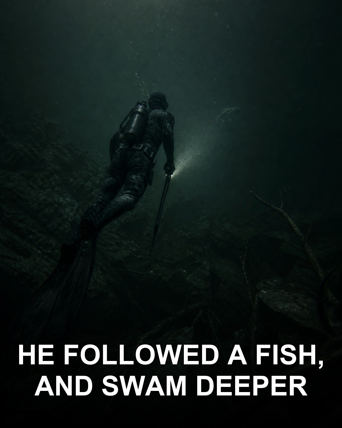 They searched twenty-six days, two metres too far